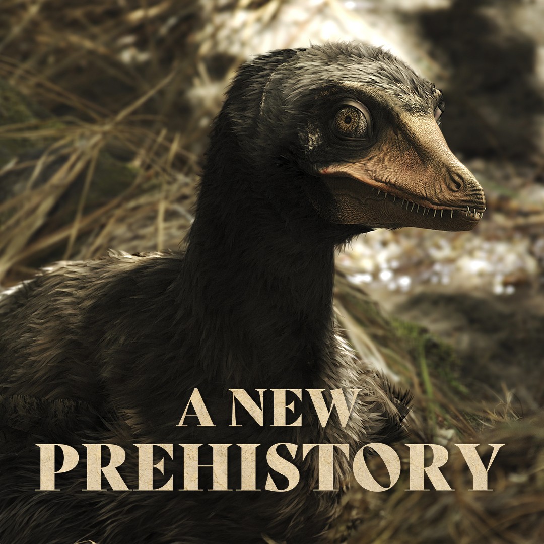 A New Prehistory