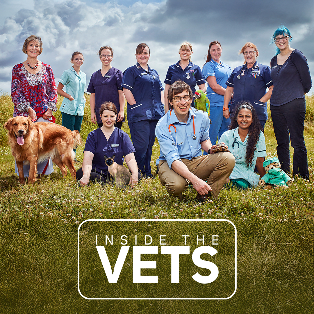 Inside The Vets