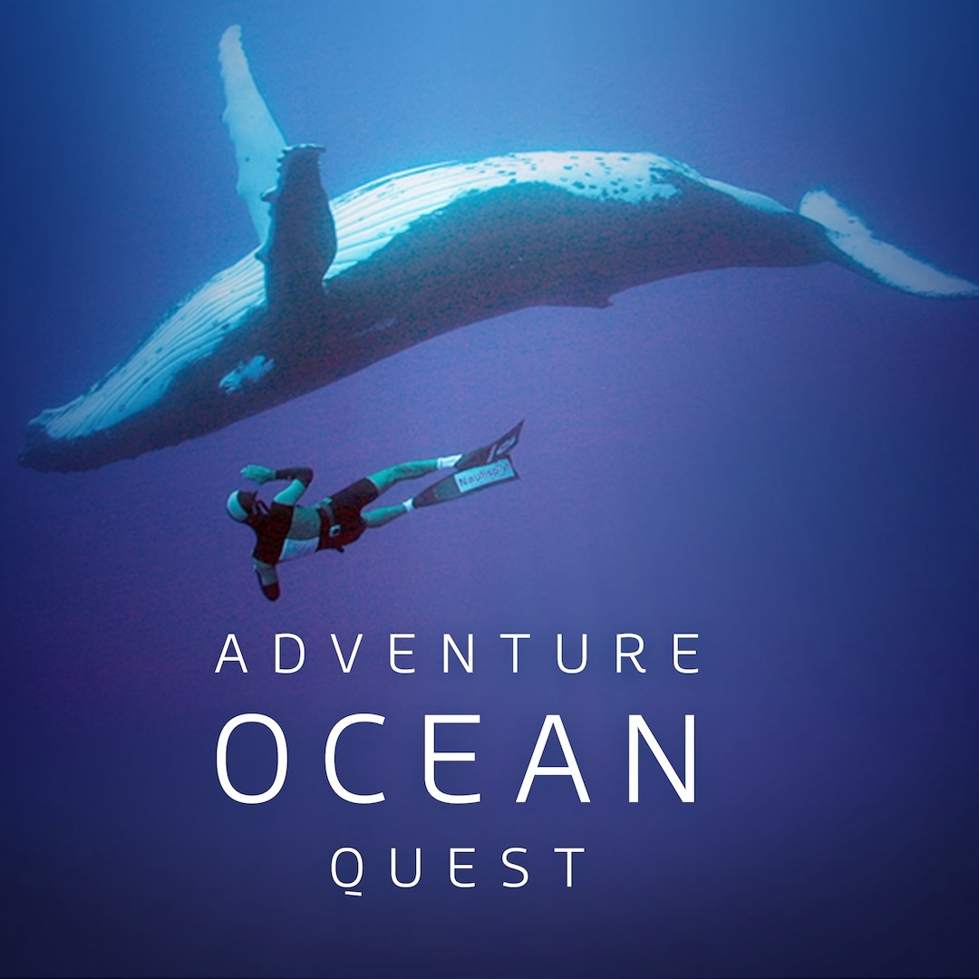 Adventure Ocean Quest