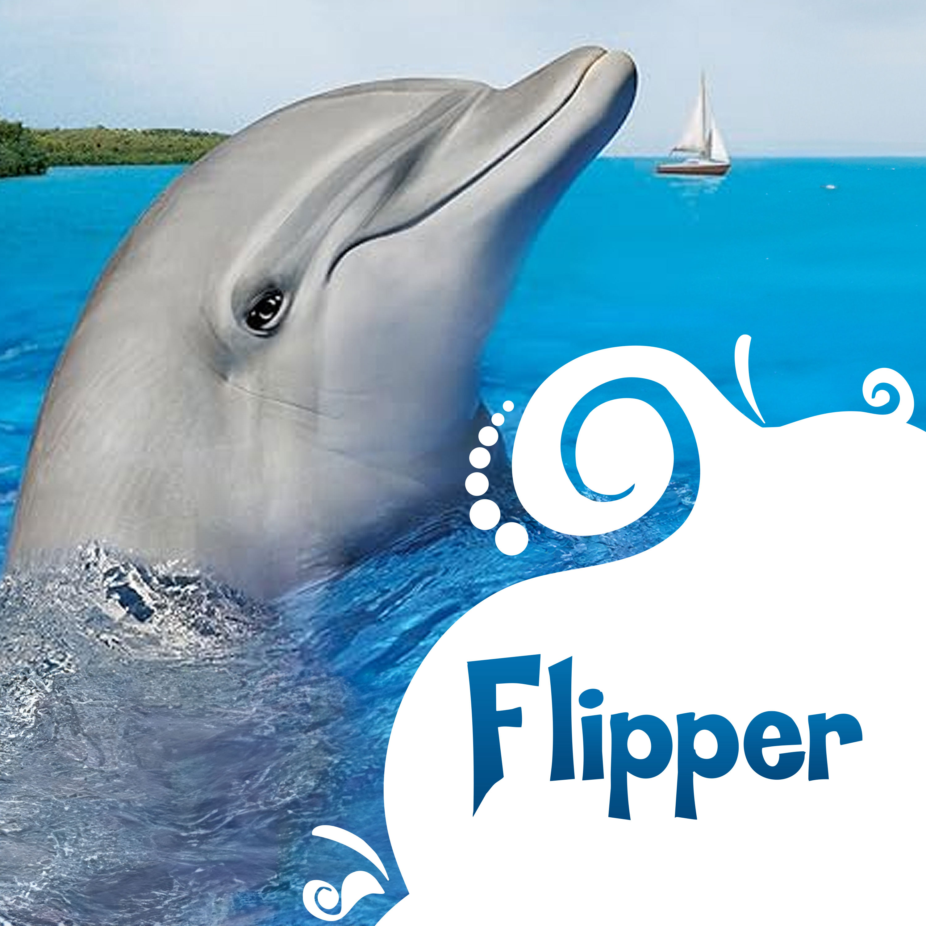 Flipper