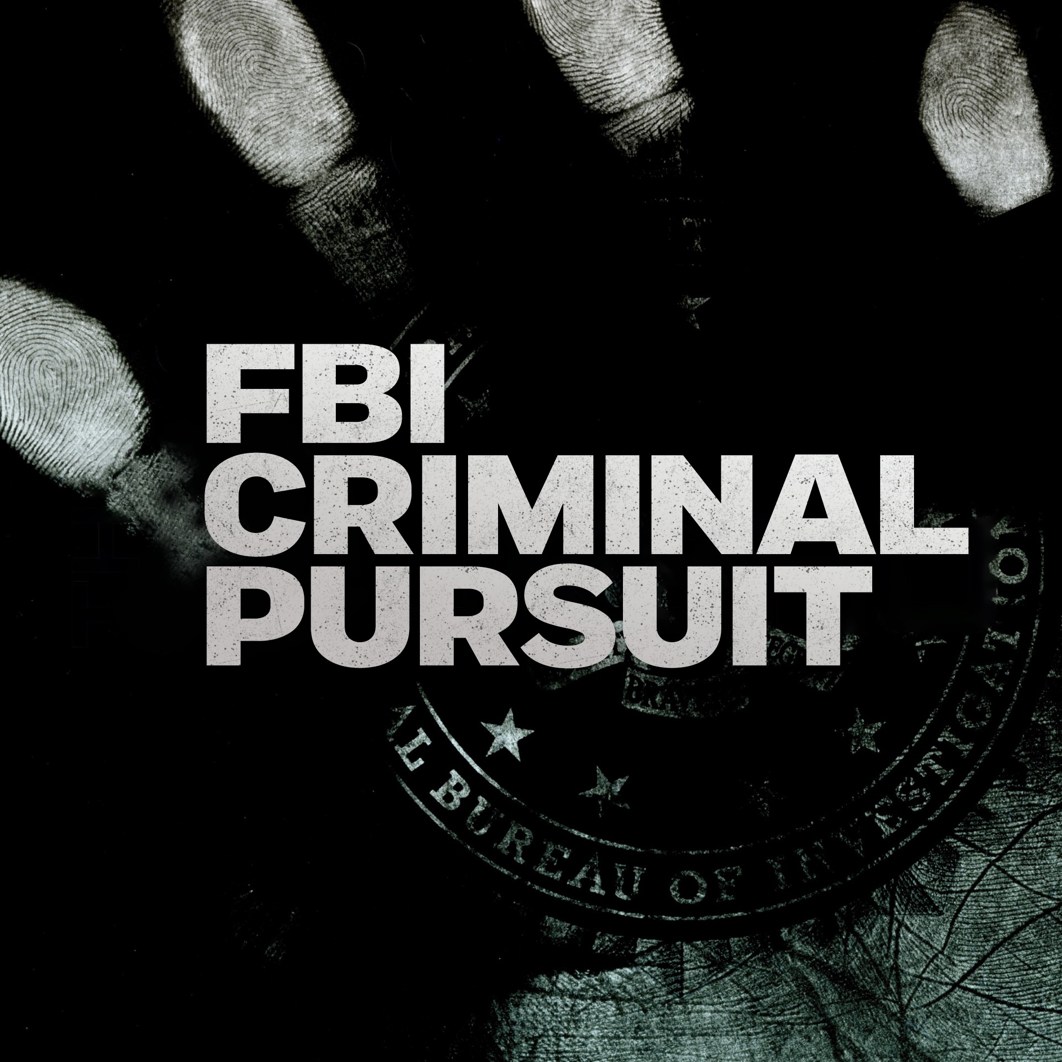 FBI Criminal Pursuit