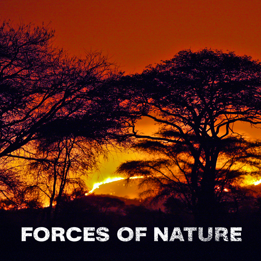 Naturgewalten - Forces of Nature