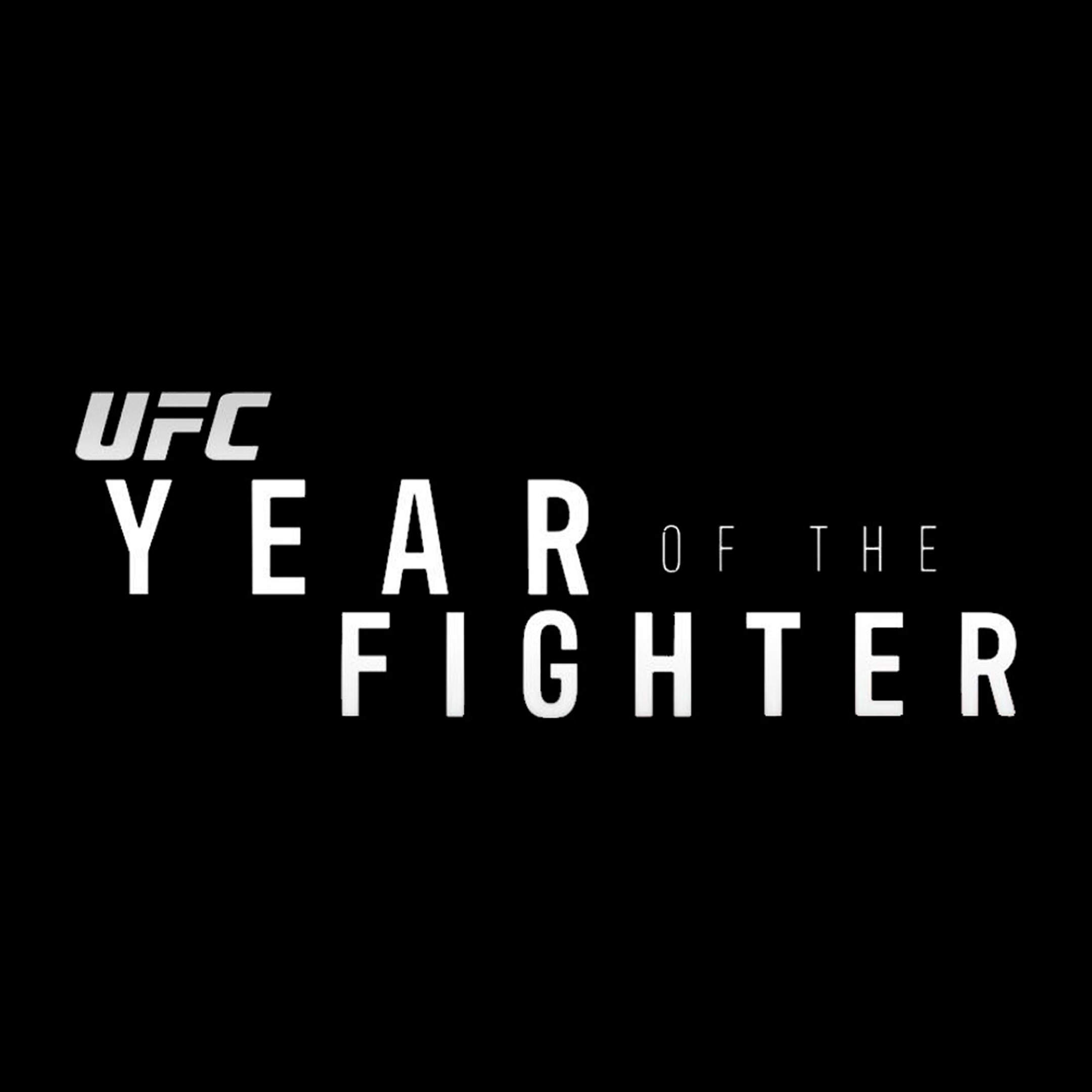 Year of the Fighter