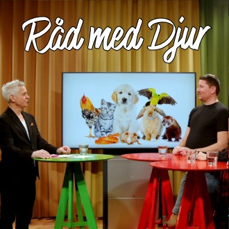 Råd med djur