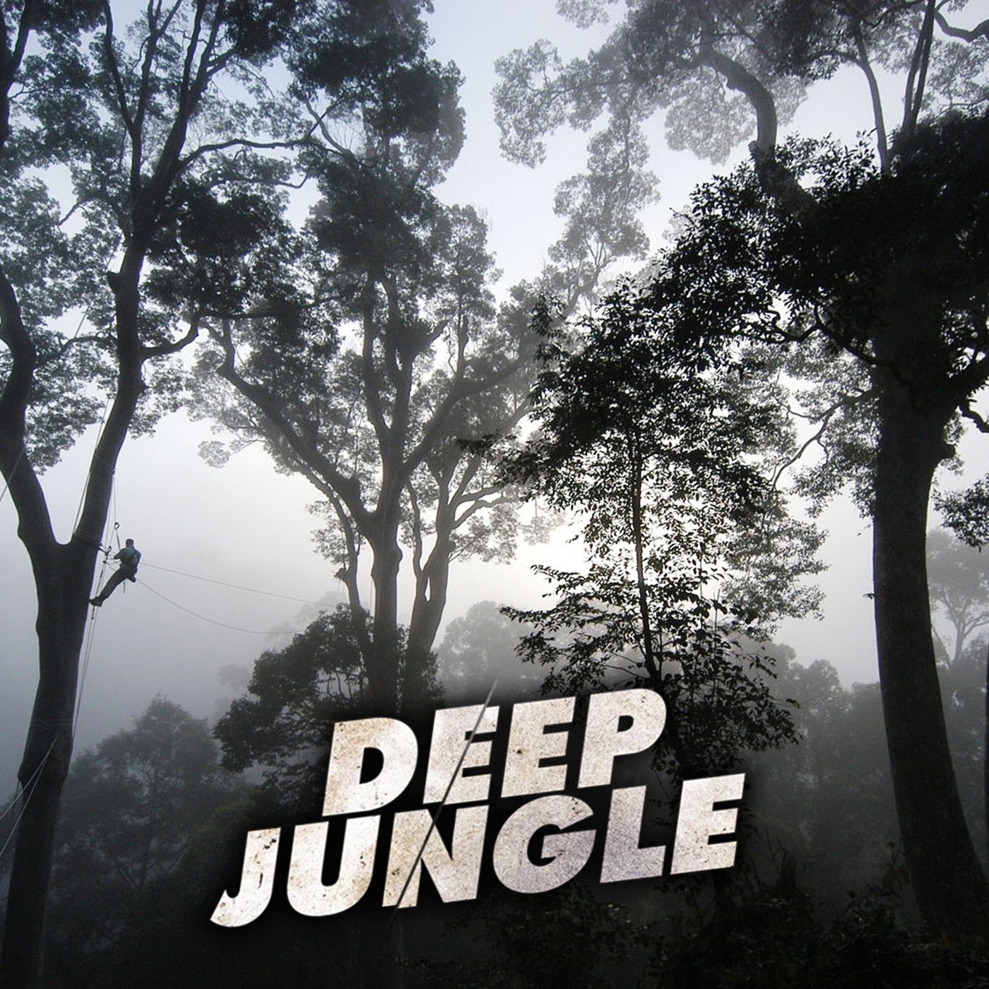 Deep Jungle