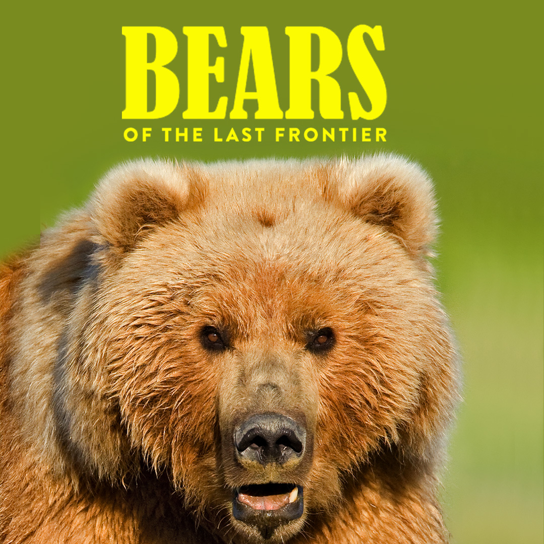 Bears of the Last Frontier