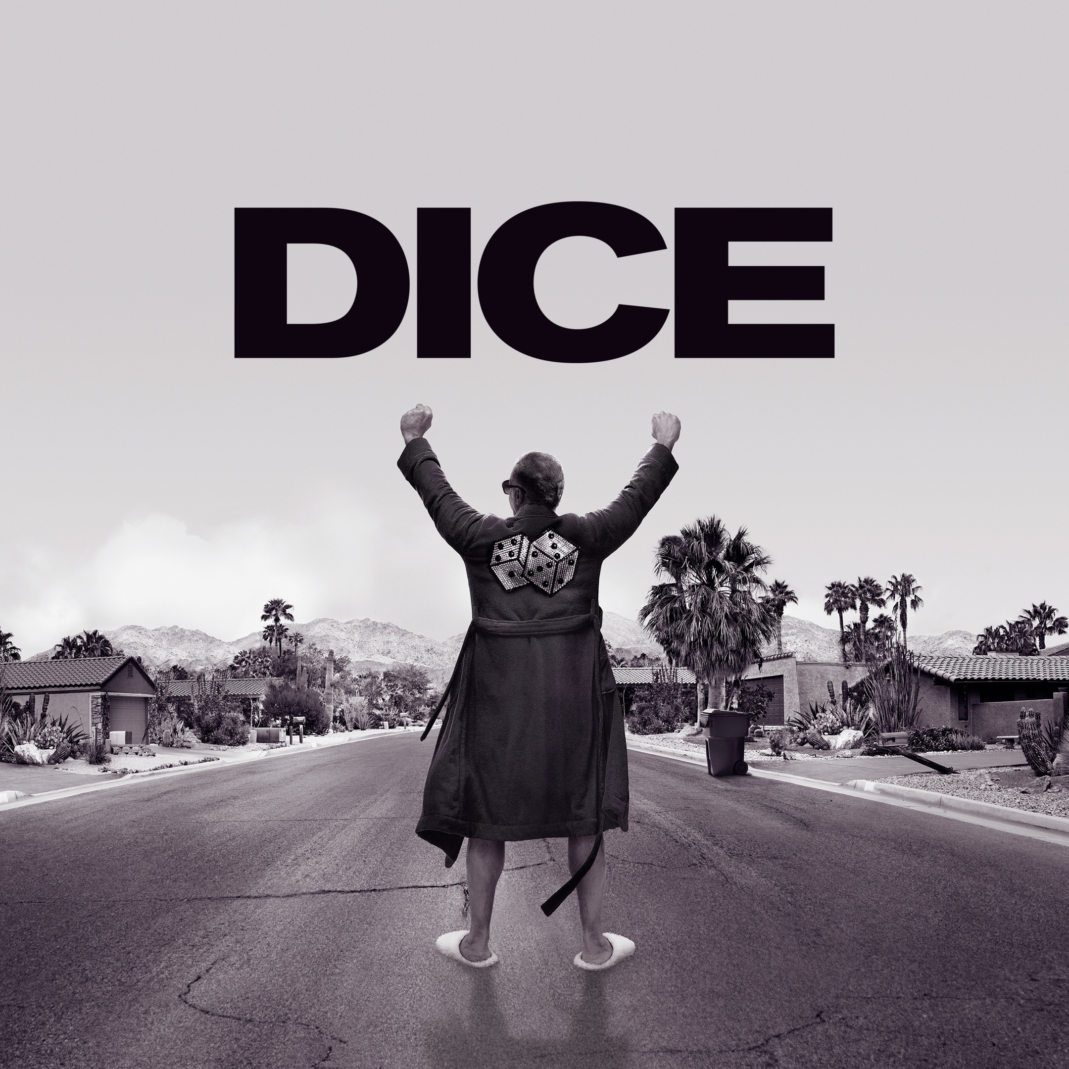 Dice