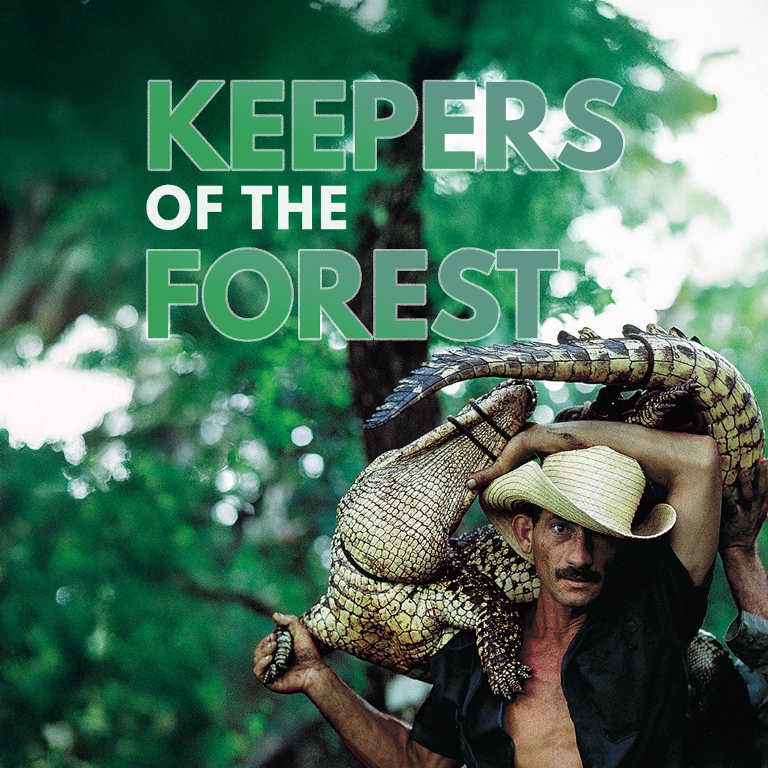 Guardianes del bosque