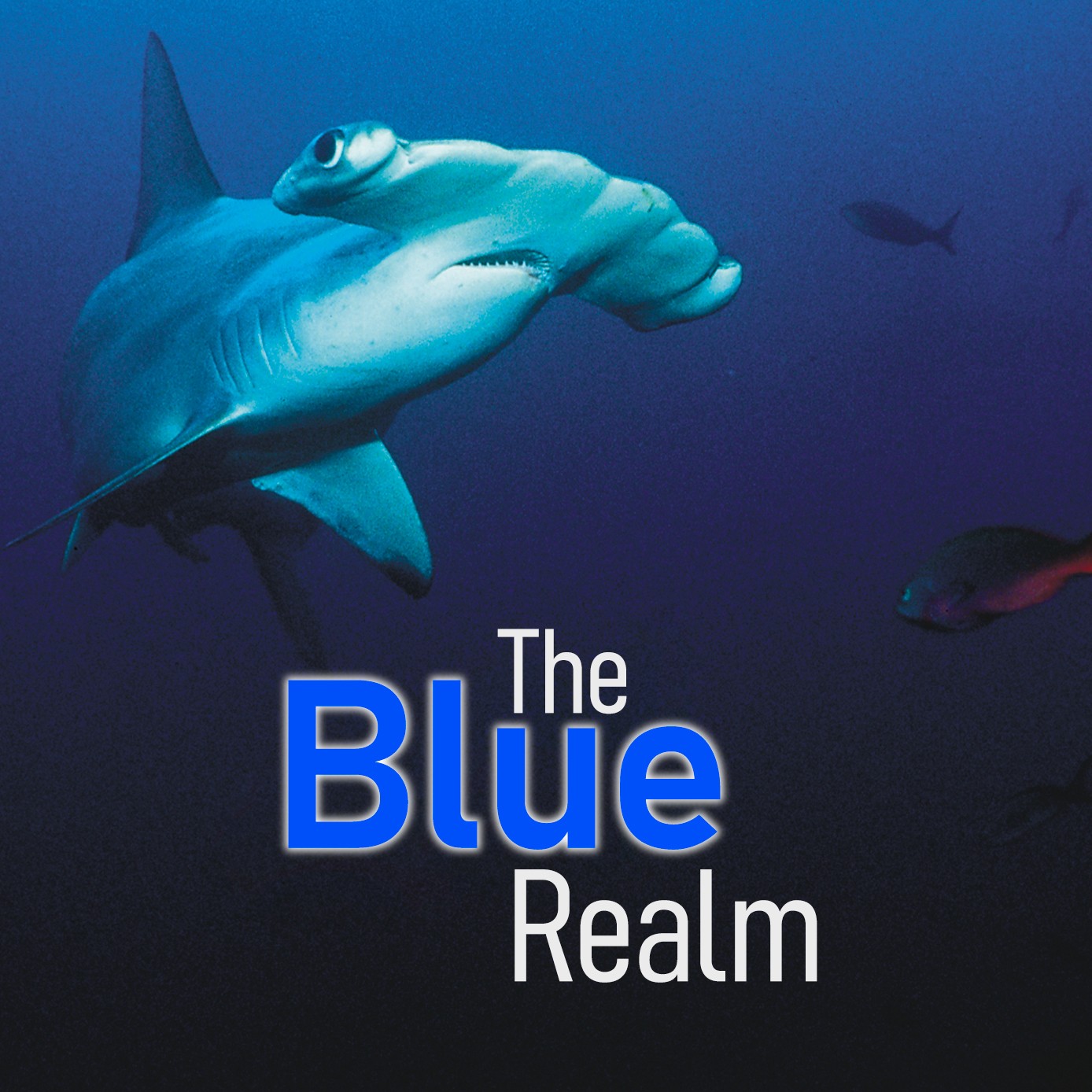 The Blue Realm