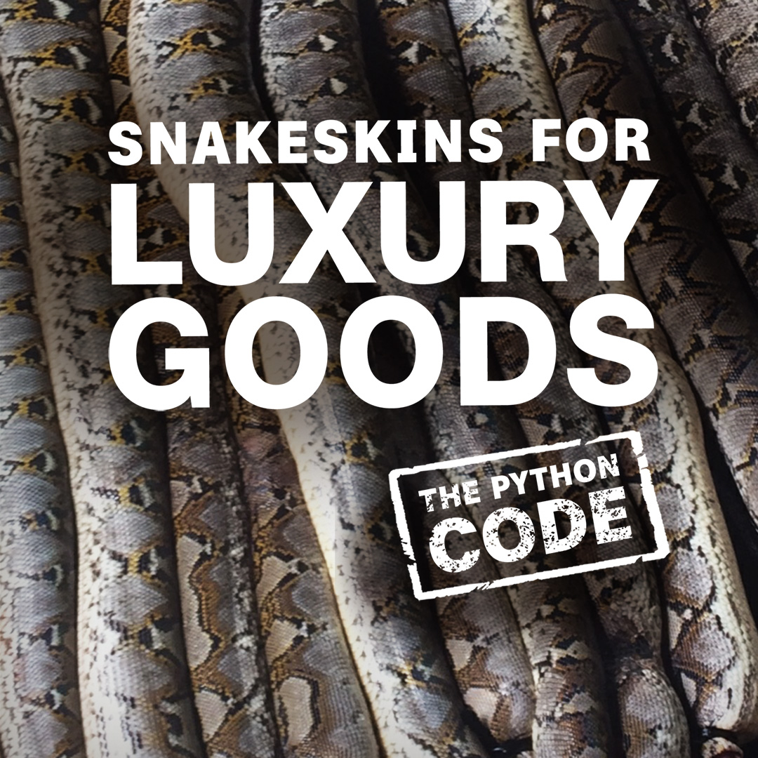 planet e.: Snakeskins for Luxury Goods: The Python Code