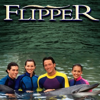 Flipper: The New Adventures