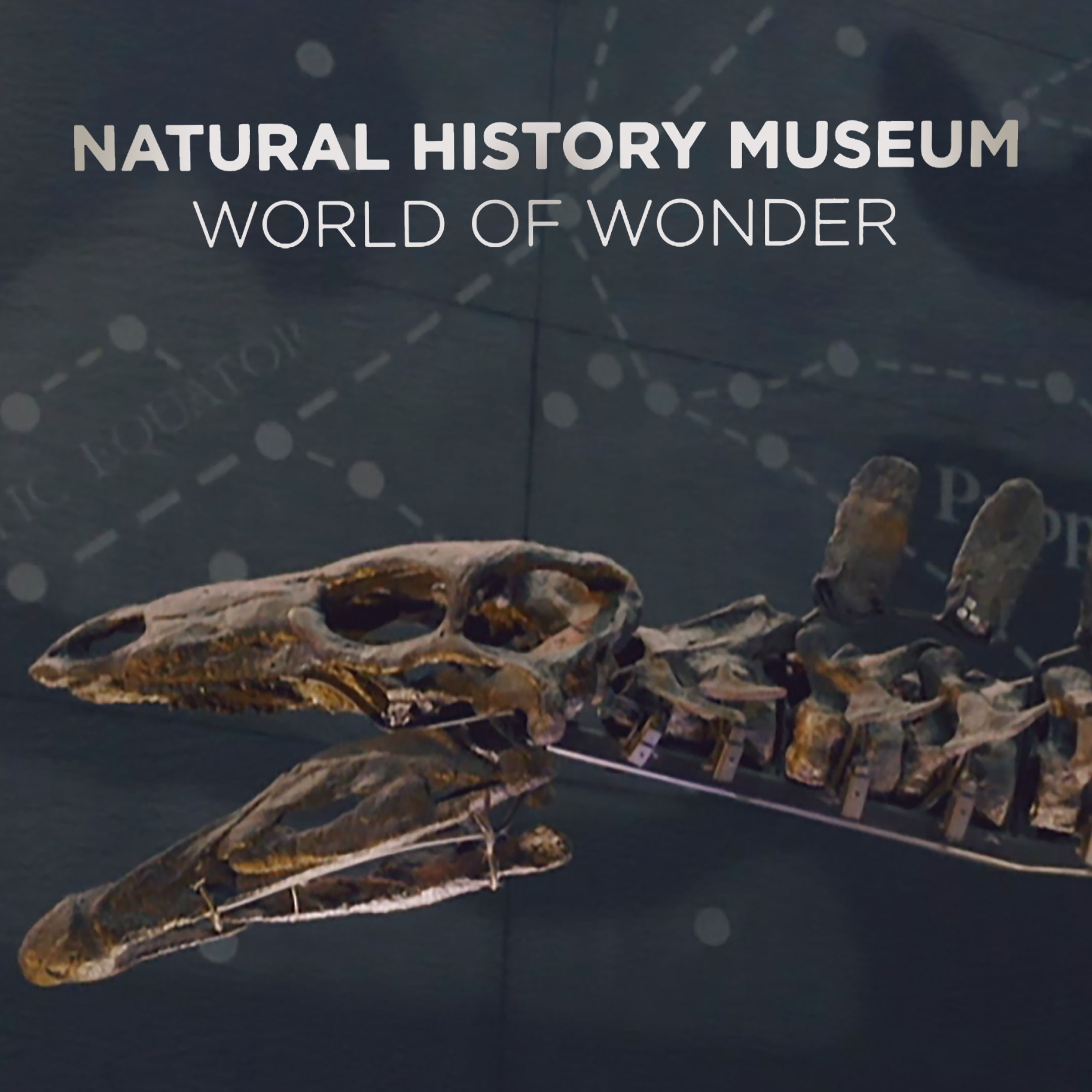 Natural History Museum: World of Wonder