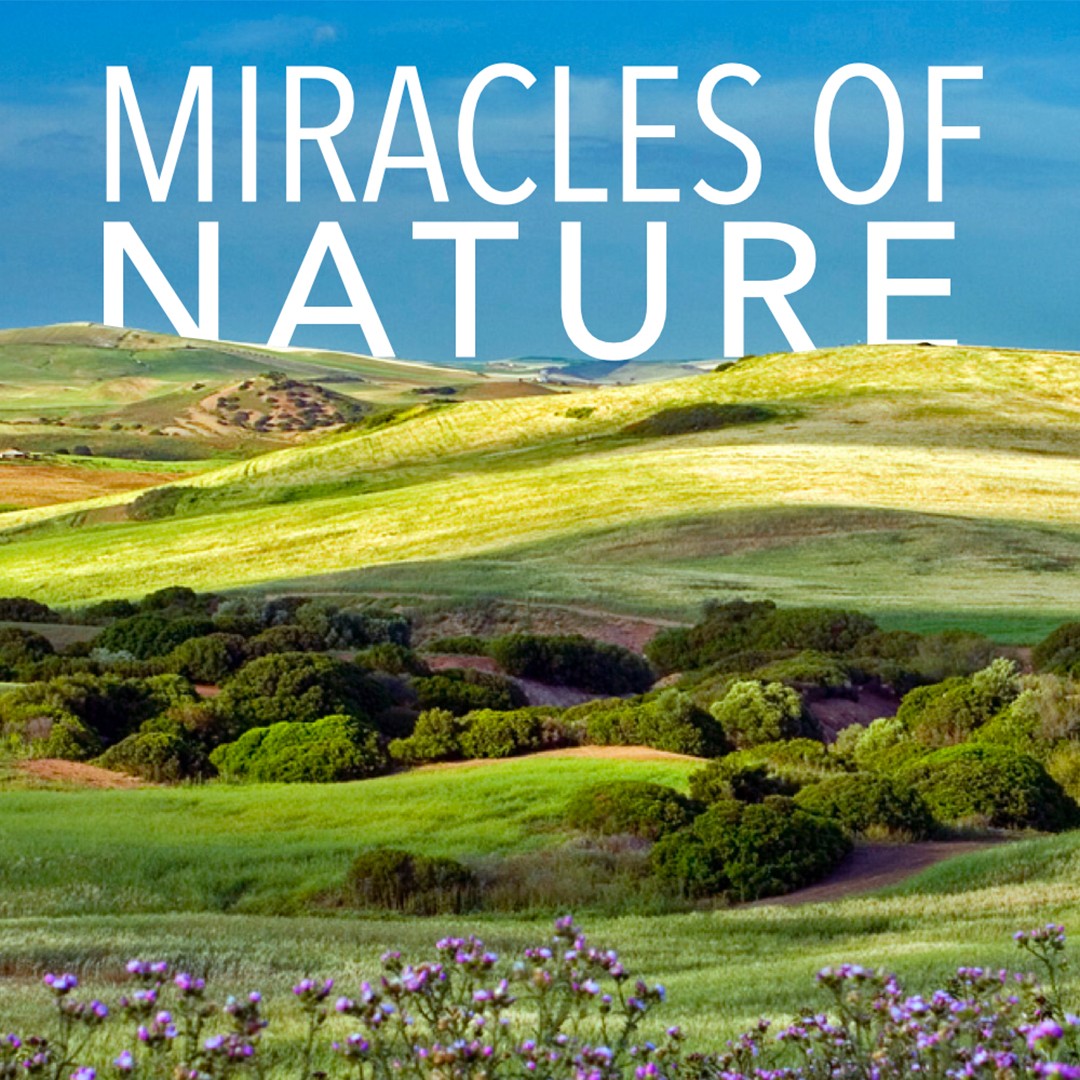 Milagros de la naturaleza