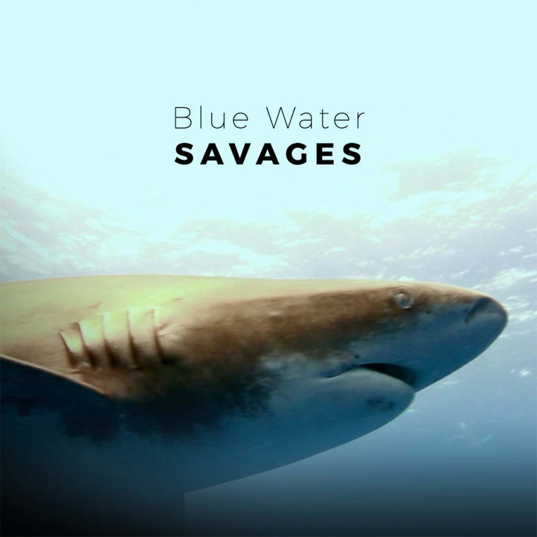 Océano salvaje
