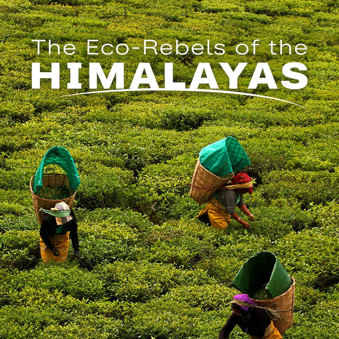 planet e.: The Eco-Rebels of the Himalayas