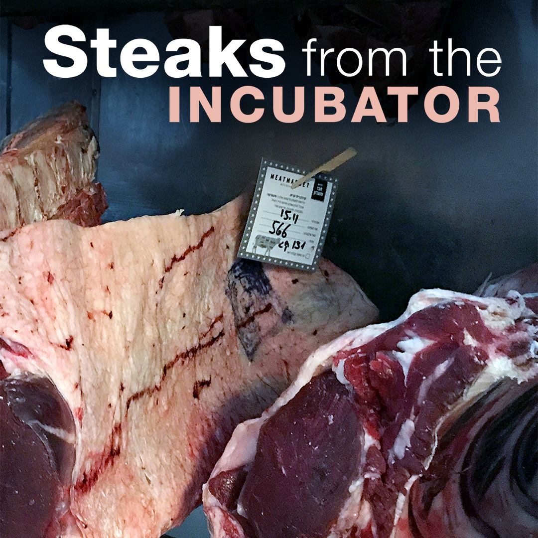 planet e.: Steaks from the incubator