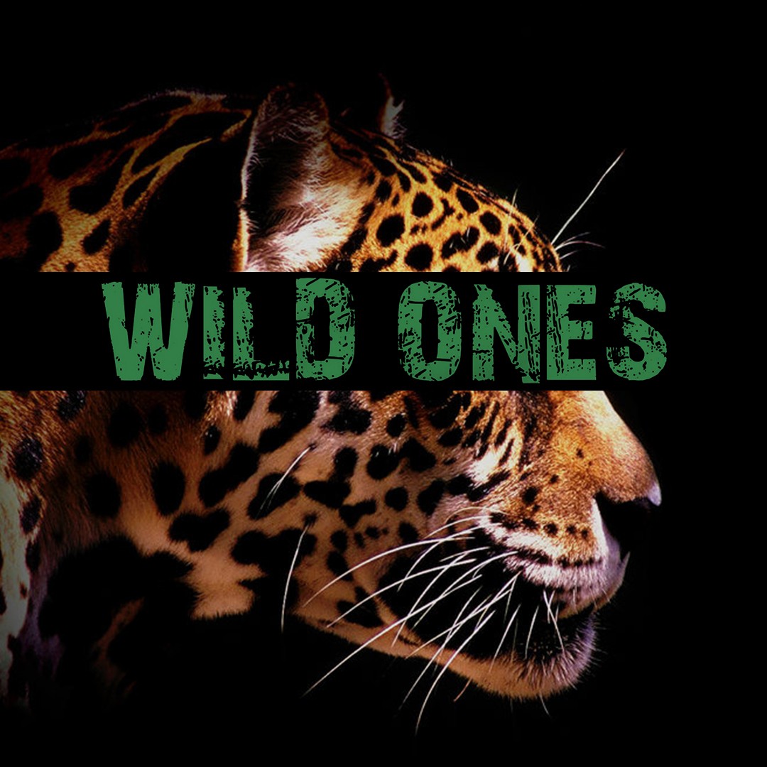 Wild Ones 3: Mundo de lo salvaje