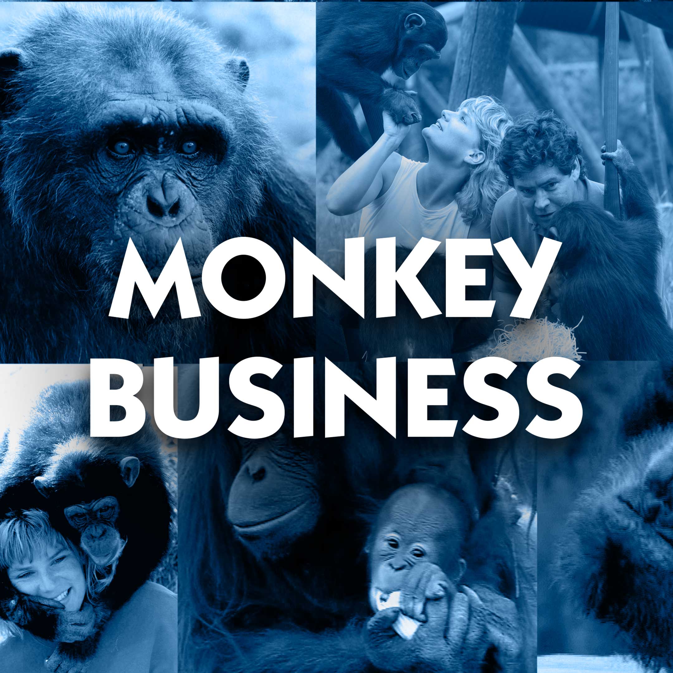 Monkey Business (1998)