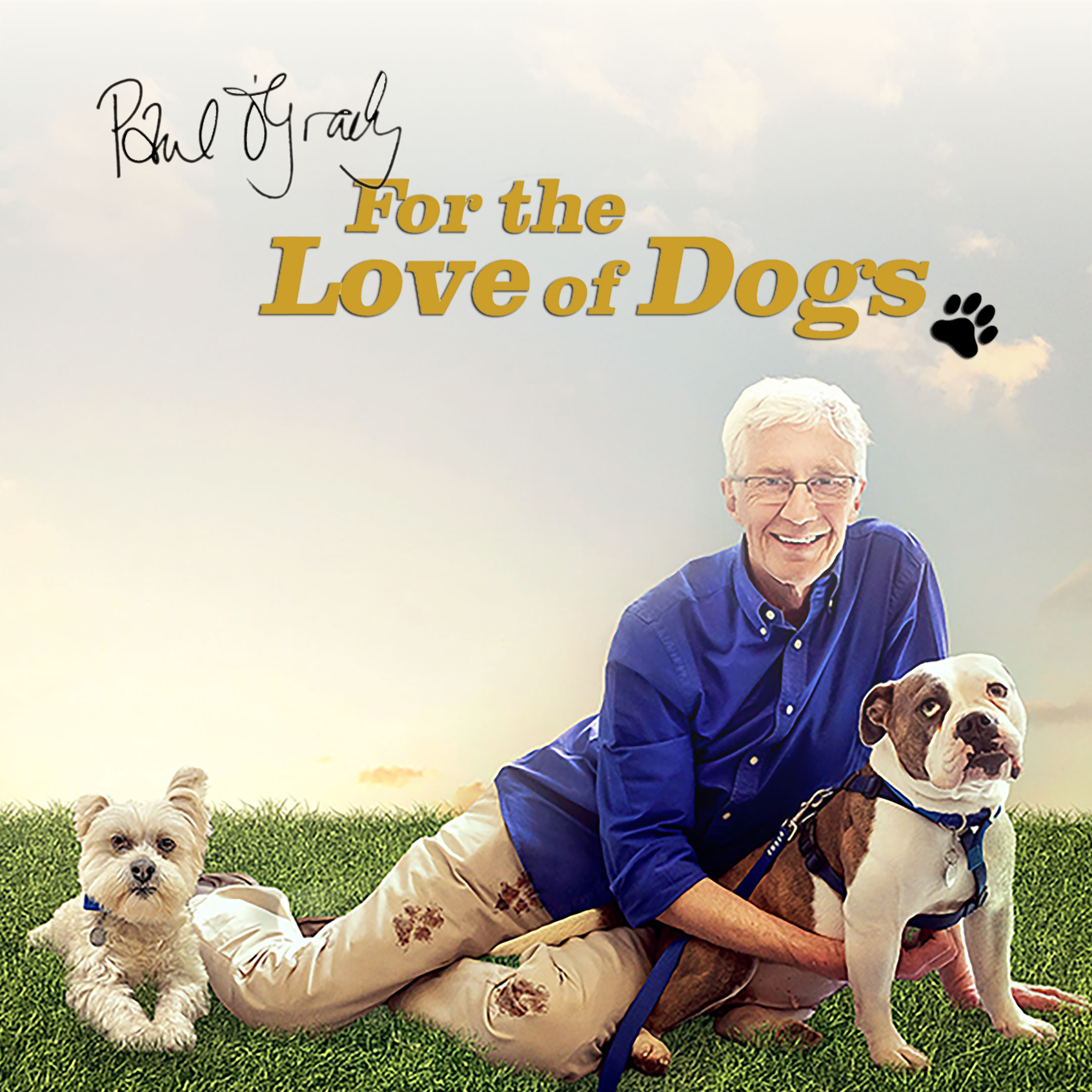 Paul O'Grady: For the Love of Dogs
