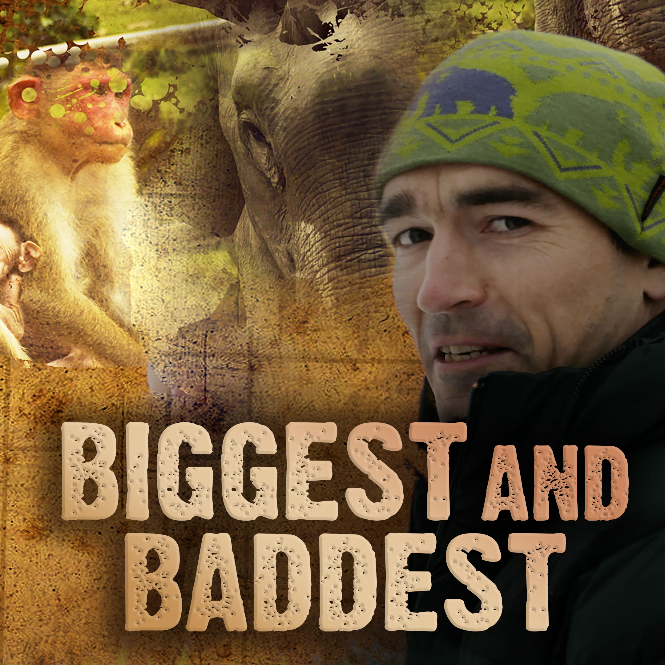 Biggest and Baddest