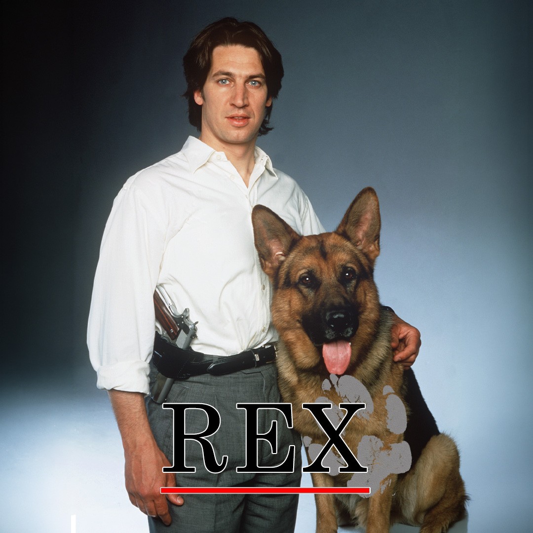 Rex, chien flic