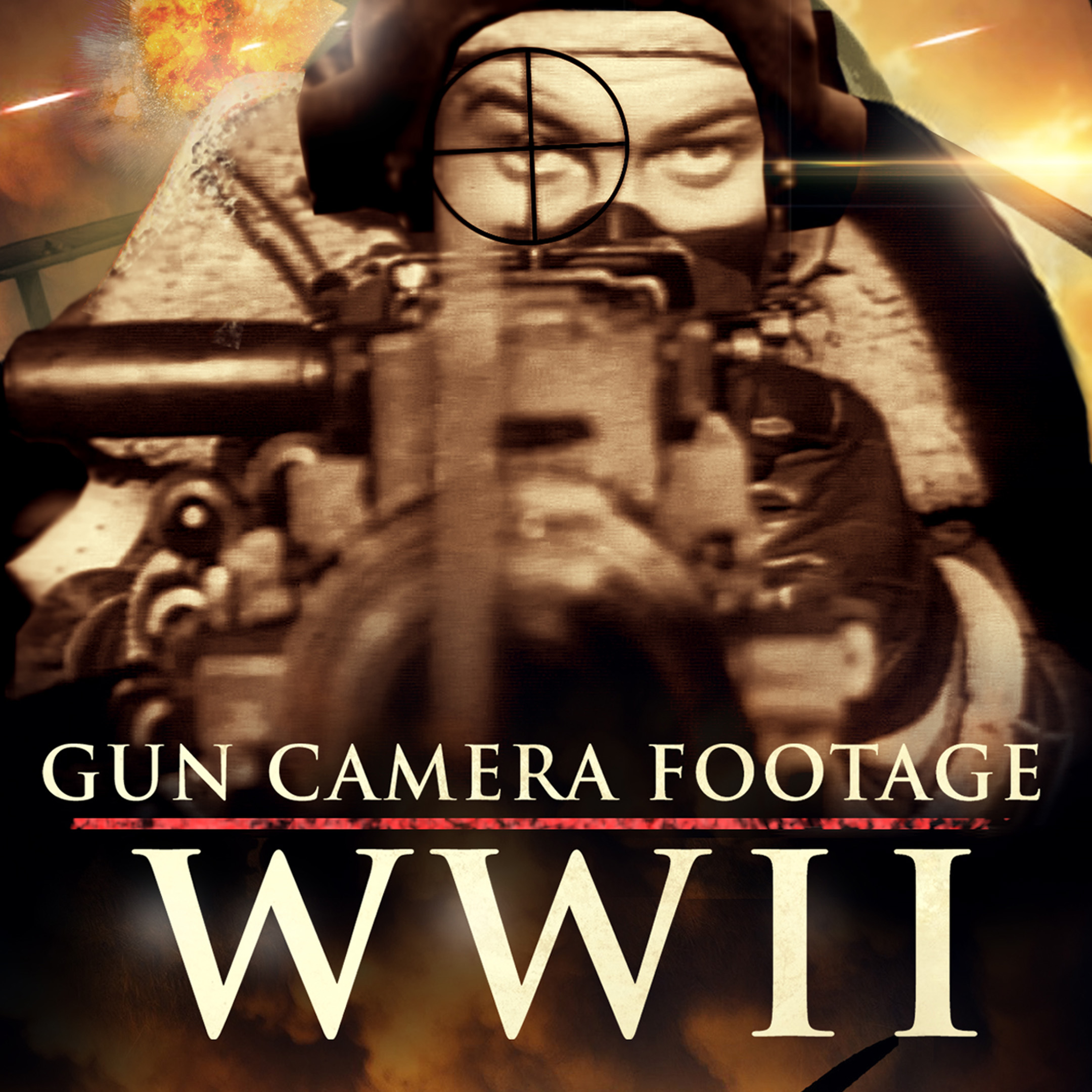 Gun Camera Footage: WWII