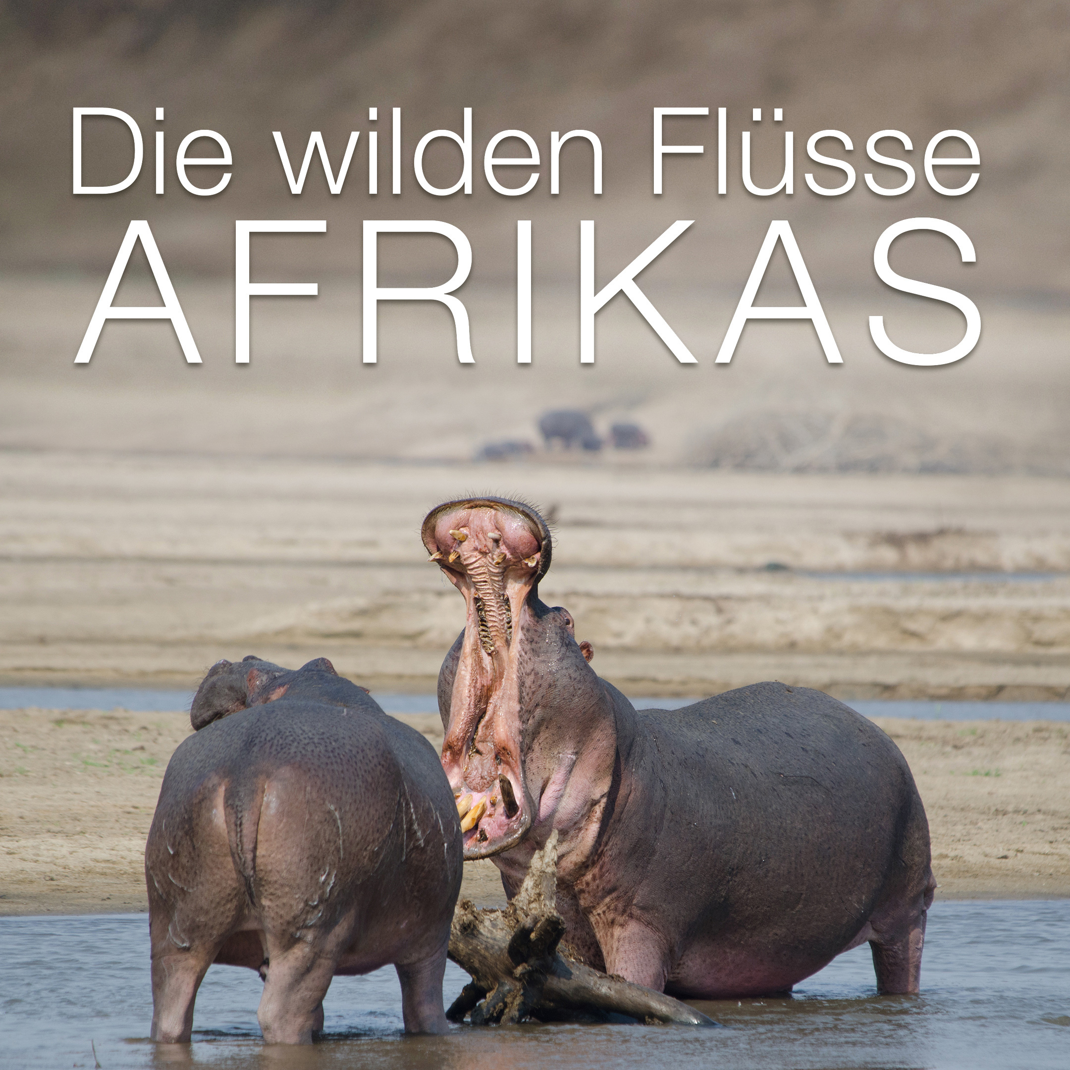Die wilden Flüsse Afrikas